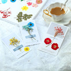 eBoot 72 Pcs Dried Pressed Flowers - Image 6