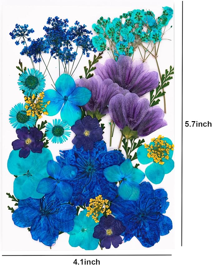 30Pcs Dried Pressed Flowers for Resin DIY Art Crafts Natural Dry Leaves Daisy - Image 6