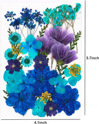 30Pcs Dried Pressed Flowers for Resin DIY Art Crafts Natural Dry Leaves Daisy - Image 6