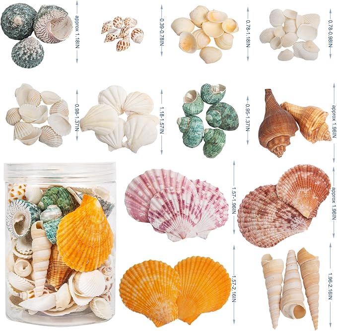 QEQEKAKA Sea Shells for Crafts - Image 2