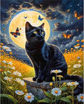 xackcme Cat Paint by Numbers for Adults by xackcme