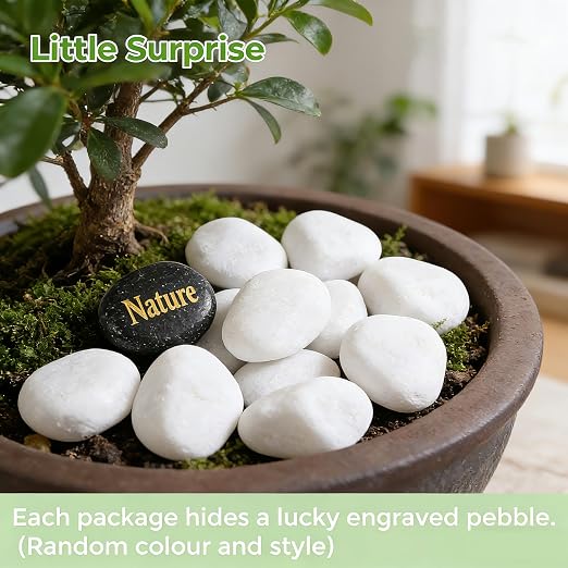 SIDONG 5 lbs White River Rocks, 1.2-2 Inches Pebbles - Image 3