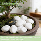 SIDONG 20 lbs White River Rocks, 1.2-2 Inches Matte Pebbles - Image 3