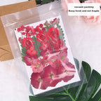 Augshy Red Dried Pressed Flowers, Pressed Red Roses Dried Flowers - Image 4