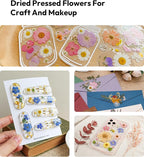 Dried Flowers, Resiners 100Pcs Pressed Flowers - Image 8