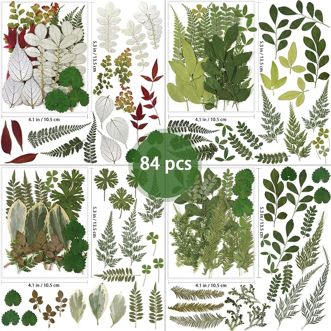 84 Pcs Dried Pressed Leaves Flowers Real Natural Dried Leaves Plant Kit - Image 2