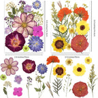 140Pcs Multi-Style Dried Pressed Flowers & Leaves - Image 5