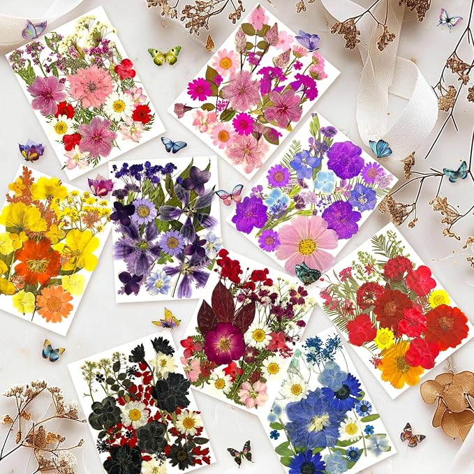 303Pcs Dried Pressed Flowers for Crafts, Dried Pressed Flowers for Resin - Image 7
