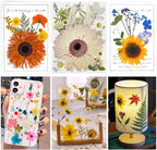 Woohome 44 PCS Pressed Flowers Natural Dried Flowers Pink Resin Flowers Real - Image 2