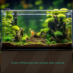 LYPHARD AQUARIUMS Driftwood for Aquarium, 3 Pieces 6-10" Natural Small Drift - Image 3