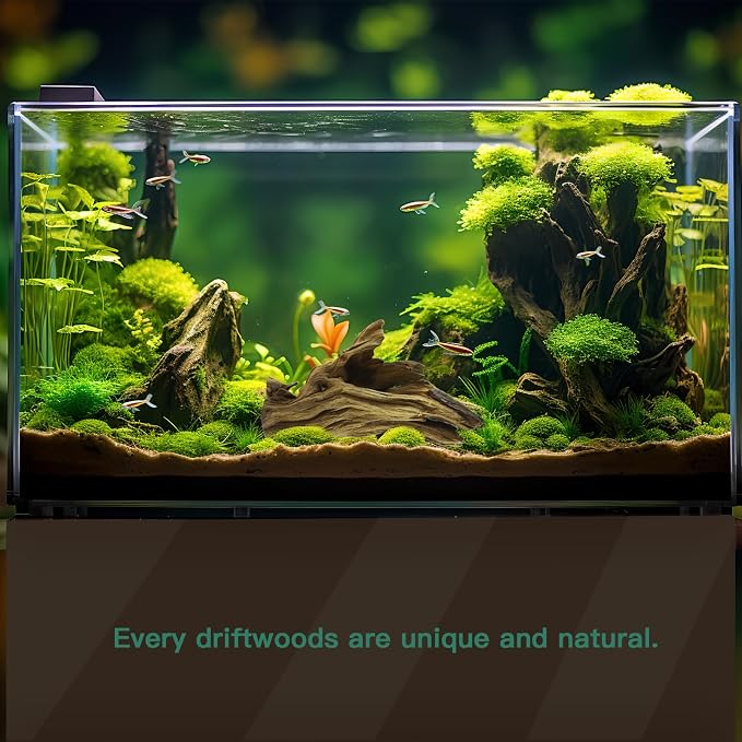 LYPHARD AQUARIUMS Driftwood for Aquarium, 3 Pieces 6-10" Natural Small Drift - Image 3