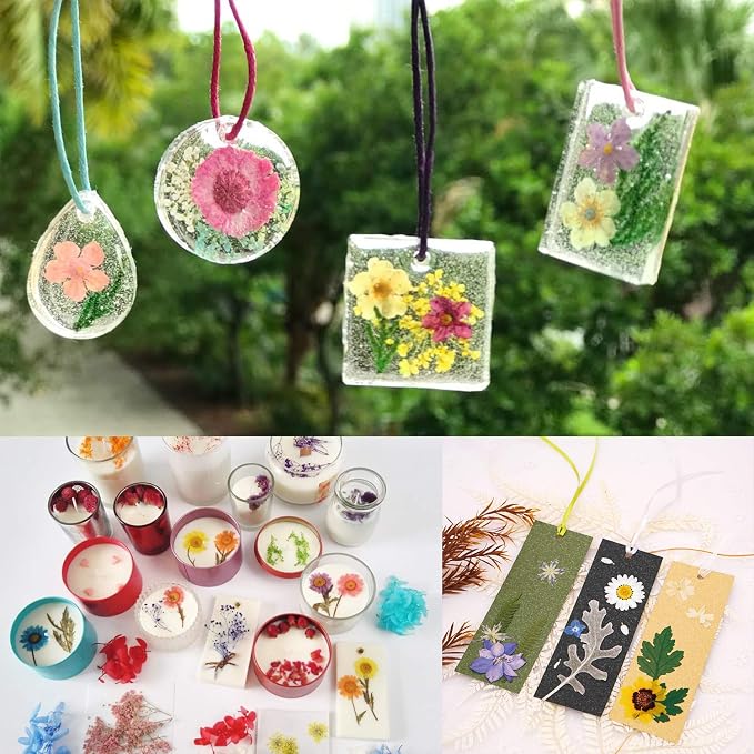 90 Pcs Real Dried Pressed Flowers and Leaves Natural Dried Petals - Image 6