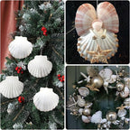 10PCS Large Natural Scallop Shells, DIY Painting, Baking and Beach Wedding - Image 6