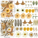 96PCS Vintage White Dried Pressed Flowers - Image 3
