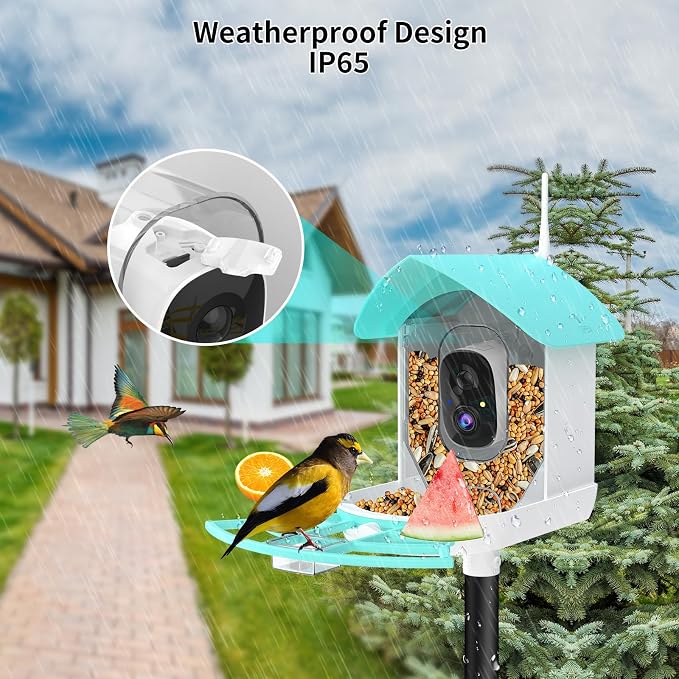 Bird Feeder with Camera, Auto Capture Wiress Bird Feeder Camera, AI Identify - Image 4