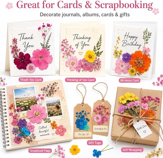 210 pcs Dried Flowers for Resin, Natural Flowers and Leaves Kit - Image 6