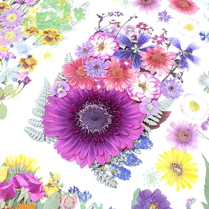 35Pcs Dried Pressed Flowers for Crafts Resin DIY Art Natural Dry Floral Large - Image 3