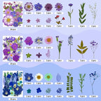 207 Pcs Dried Pressed Flowers for Crafts, Dried Pressed Flowers for Resin - Image 2