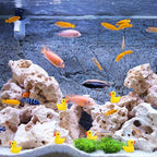 YsesoAi 100Pcs Mini Resin Ducks, Tiny Ducks Figurines Bulk - Image 5