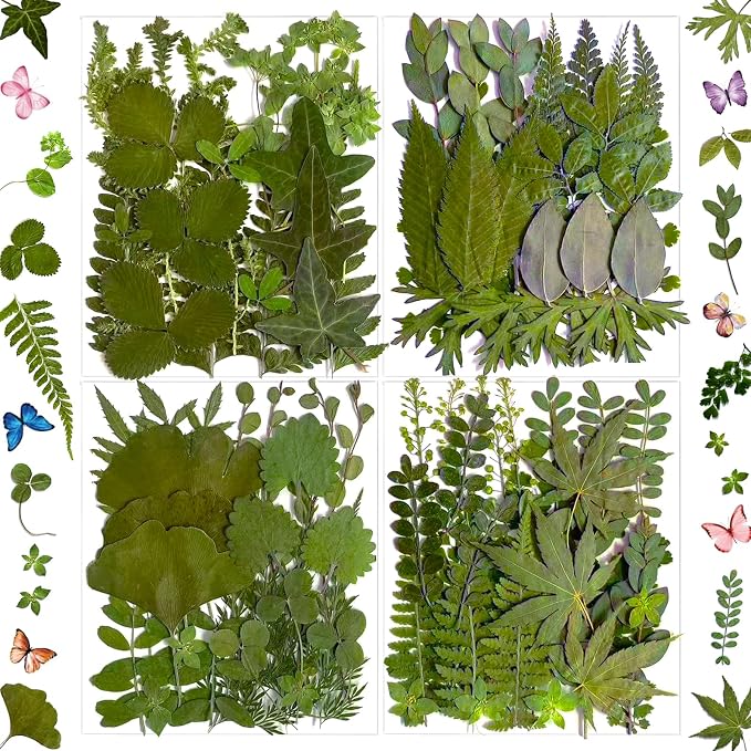 136Pcs Pressed Dried Leaves and Butterfly by LUCISKY
