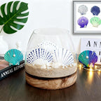 JSPYFITS 12PCS Large Natural Scallop Shells, DIY Painting, Baking and Beach - Image 4