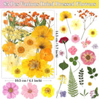 85Pcs Colorful Pressed Flowers for Crafts, Natural Dried Flowers for Crafts - Image 2