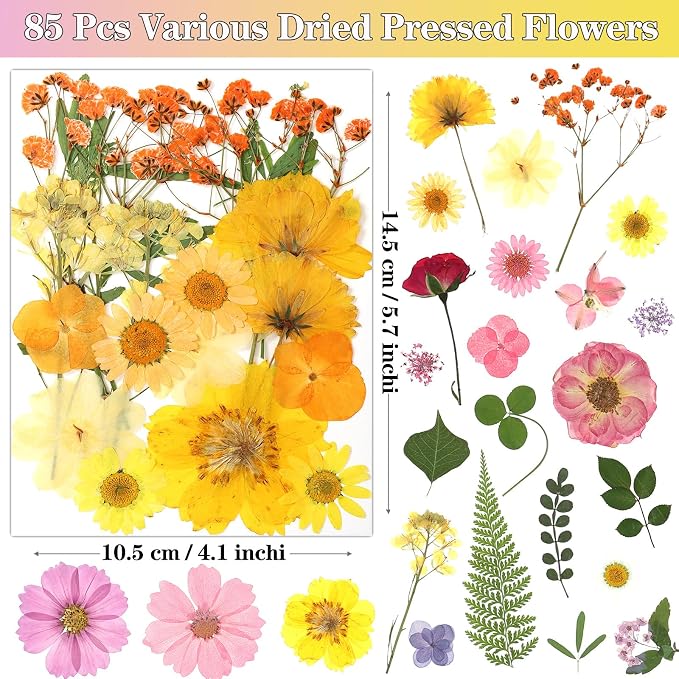 85Pcs Colorful Pressed Flowers for Crafts, Natural Dried Flowers for Crafts - Image 2