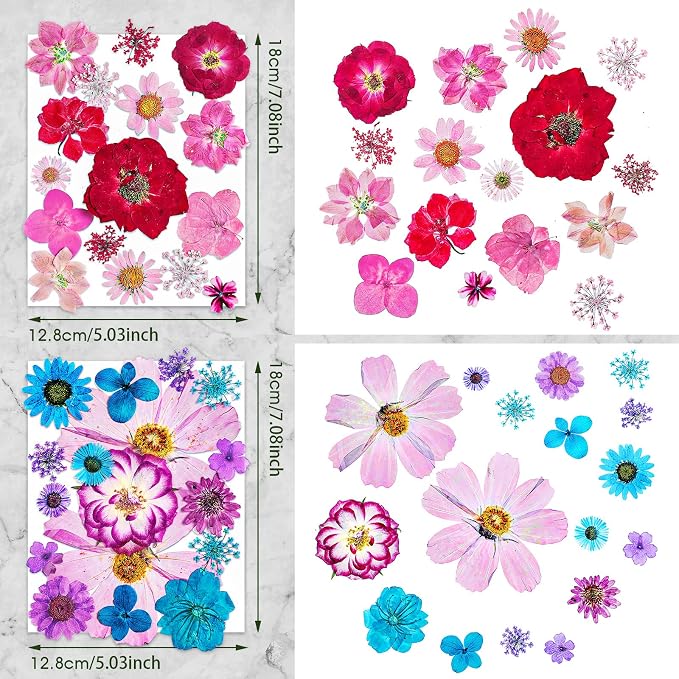 Nuanchu Dried Flower for Crafts Resin Pressed Flowers Bulk Real Dried - Image 4
