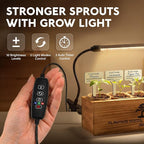 Bonsai Tree Kit Deluxe + Growing Light - Image 2