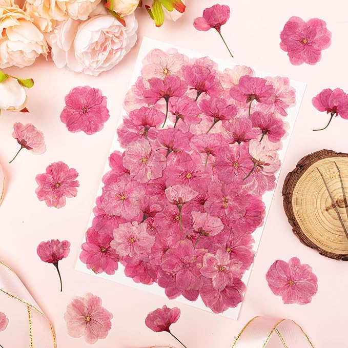 101 PCS Pressed Cherry Blossom for Crafts, Dried Sakura Flowers for Soap Candle - Image 3