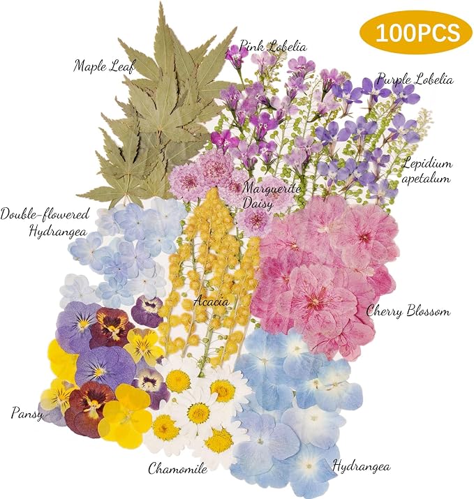 100 PCS Real Dried Pressed Flowers Leaves Natural Plant Herbarium - Image 2