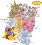 100 PCS Real Dried Pressed Flowers Leaves Natural Plant Herbarium - Image 2