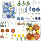 LUXEEASE 4-Color 100P Vibrant Dried Pressed Flowers | Vivid blue orange pink - Image 2