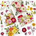 Dried Pressed Flowers for Resin | Real Dry Leaves Bulk Natural Herbs Kit for by CONVELIFE