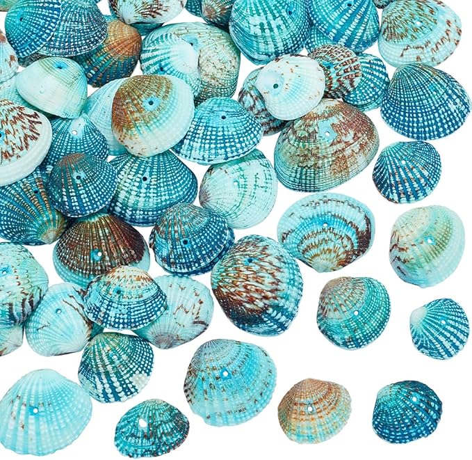 PH PandaHall Tiny Scallop Sea Shells, 35-40Pcs Natural Seashell | 1mm Hole by PHPandaHall