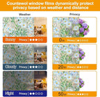 Countewol Privacy Window Films Stain Glass Cling No Glue Anti-UV Window Sticker - Image 4