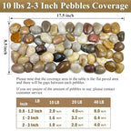 FANTIAN 40 lbs Large River Rocks - Image 3