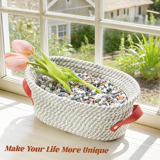 10 lb Mixed Color Pebbles for Plants, 1/5 Inch Decorative Rocks for Potted - Image 4