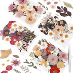 100 Pcs Dried Pressed Flowers, Real Natural Dried Wildflowers Leave - Image 8