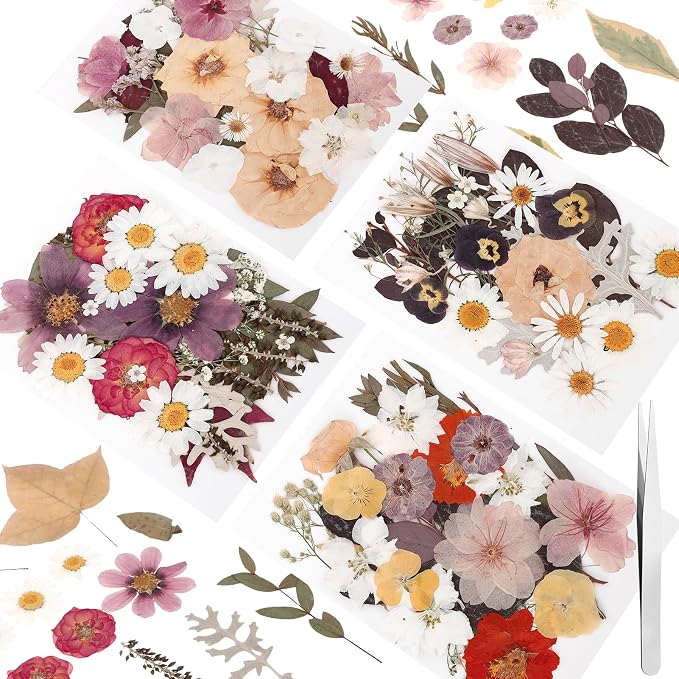 100 Pcs Dried Pressed Flowers, Real Natural Dried Wildflowers Leave - Image 8