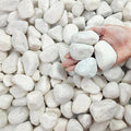 FANTIAN 20 lbs White Rocks for Landscaping, 2-3 Inch Large River Rocks. by FANTIAN-GardeningMakesLifeBetter