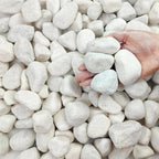 FANTIAN 5 lbs White Matte Rocks by FANTIAN-GardeningMakesLifeBetter