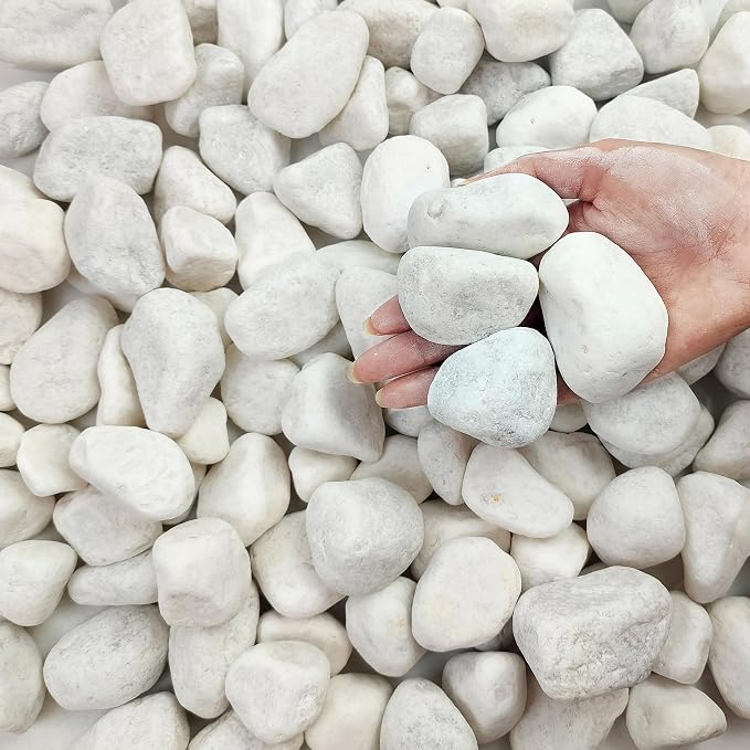 FANTIAN 5 lbs White Matte Rocks by FANTIAN-GardeningMakesLifeBetter