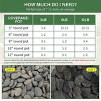NUPICK 12lb Mexican Beach Pebbles, Smooth Garden Rocks - Image 2
