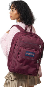 JanSport Laptop Backpack - Image 7