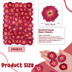 Woanger 100 pcs Dried Pressed Flowers Small Dry Flowers Real Natural Resin - Image 2
