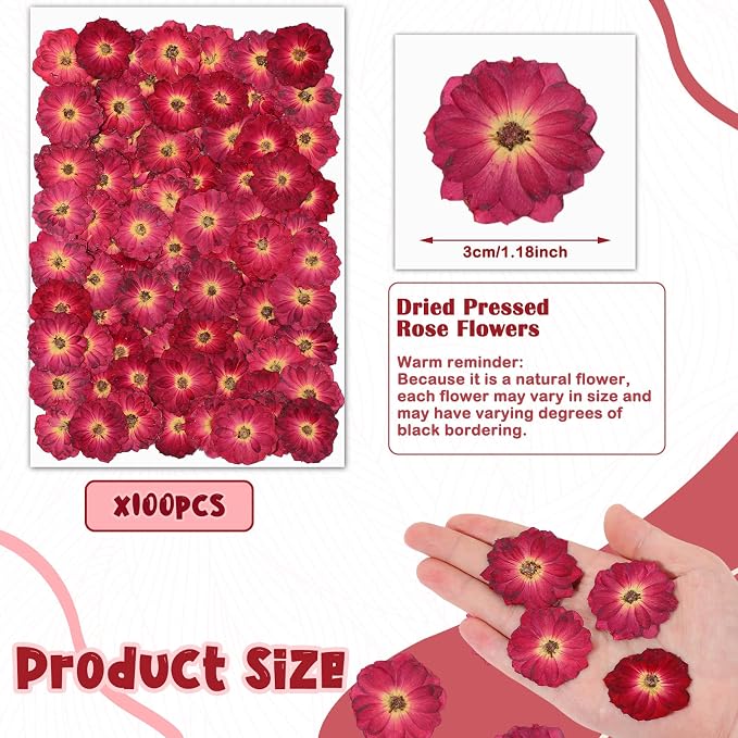 Woanger 100 pcs Dried Pressed Flowers Small Dry Flowers Real Natural Resin - Image 2