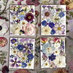 Purple Pressed Flowers 88Pcs Real Natural Dried - Image 4