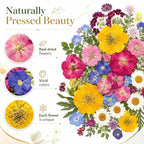180 pcs Dried Flowers for Resin, Natural Flowers and Leaves Kit - Image 9