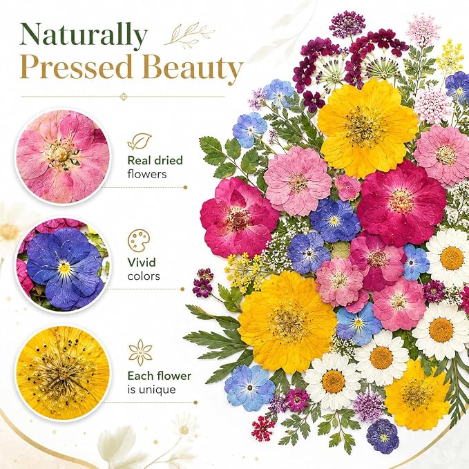 180 pcs Dried Flowers for Resin, Natural Flowers and Leaves Kit - Image 9